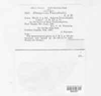 Marssonina toxicodendri image